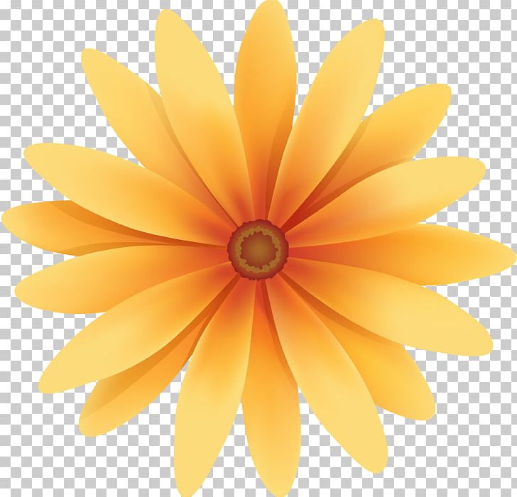 Flower PNG, Clipart, Android Game, Botanika, Daisy Family, Download, Flower Free PNG Download