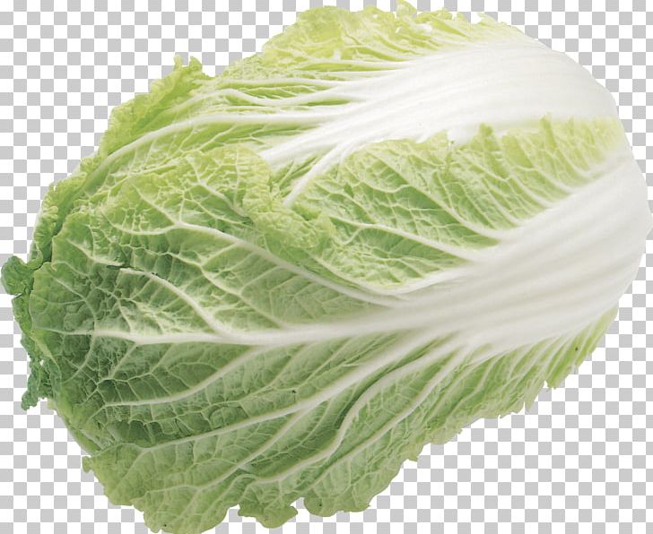 Lettuce Sandwich Wrap Iceberg Lettuce Romaine Lettuce Salad PNG, Clipart, Athletes, Broccoli, Business, Cabbage, Collard Greens Free PNG Download