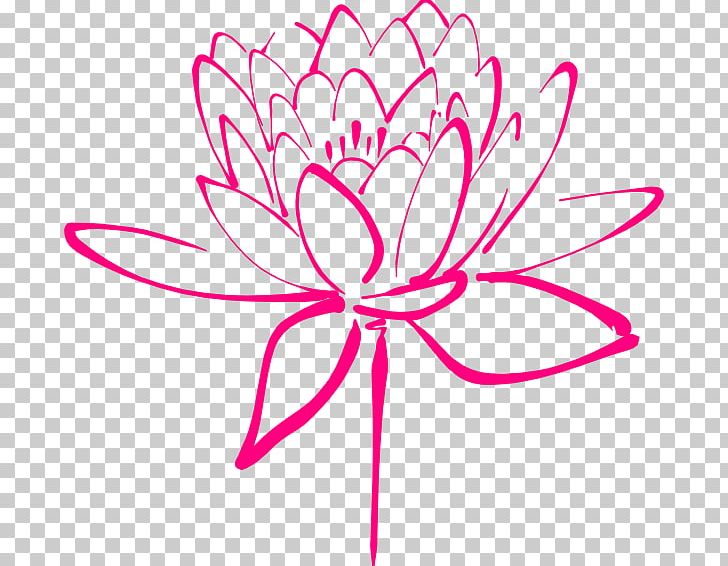 Nymphaea Alba Nelumbo Nucifera Drawing Black And White PNG, Clipart, Aquatic Plant, Area, Circle, Cut Flowers, Flora Free PNG Download