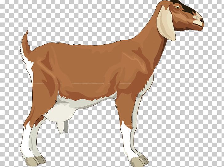Boer Goat Sheep PNG, Clipart, Boer Goat, Cattle Like Mammal, Children, Clip Art, Computer Icons Free PNG Download