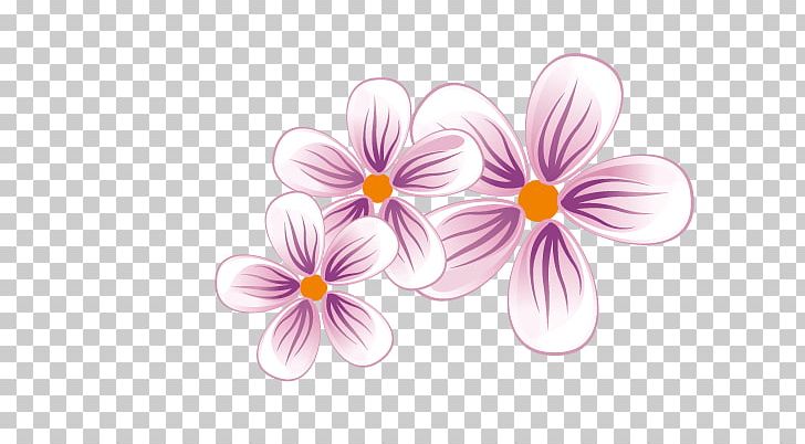 Cherry Blossom PNG, Clipart, Blossom, Blossoms, Blossoms Vector, Che, Cherry Free PNG Download