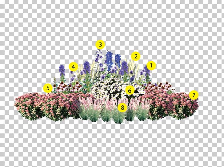 Perennial Plant Slovakia Garden Plants Záhradná Architektúra PNG, Clipart, Annual Plant, Aquarium Decor, Autumn, Bedding, Blue Free PNG Download