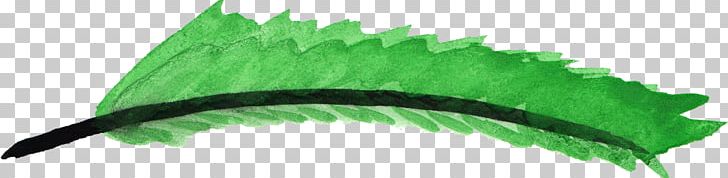 Green Feather PNG, Clipart, Blue, Brush, Color, Com, Eyelash Free PNG Download