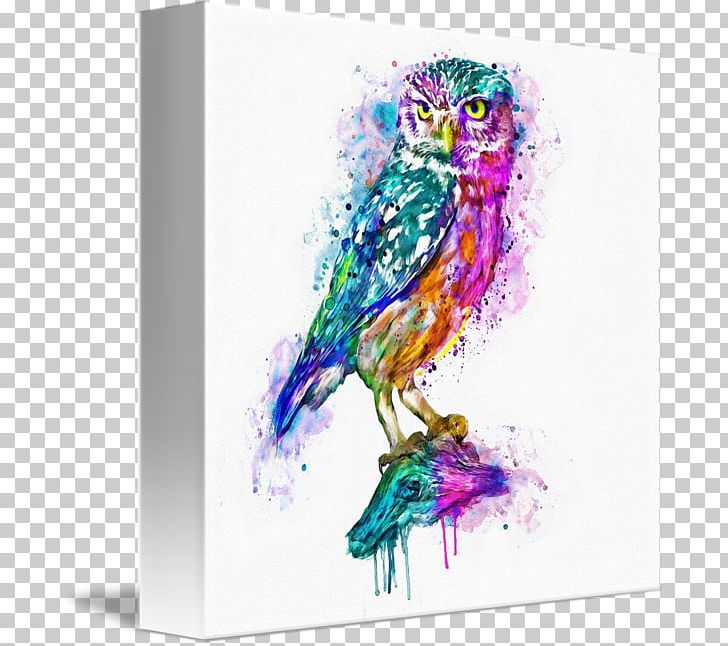 Owl Watercolor Painting Canvas Print Art PNG, Clipart, Animals, Art, Beak, Bird, Canvas Free PNG Download