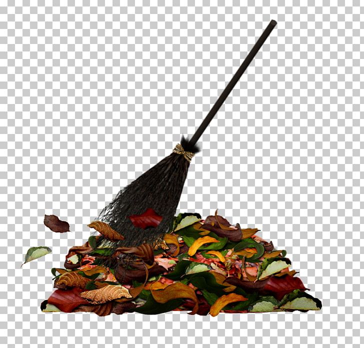 Portable Network Graphics Broom Harry Potter (Literary Series) PNG, Clipart, Broom, Cartoon, Cleaning, Computer Icons, Download Free PNG Download
