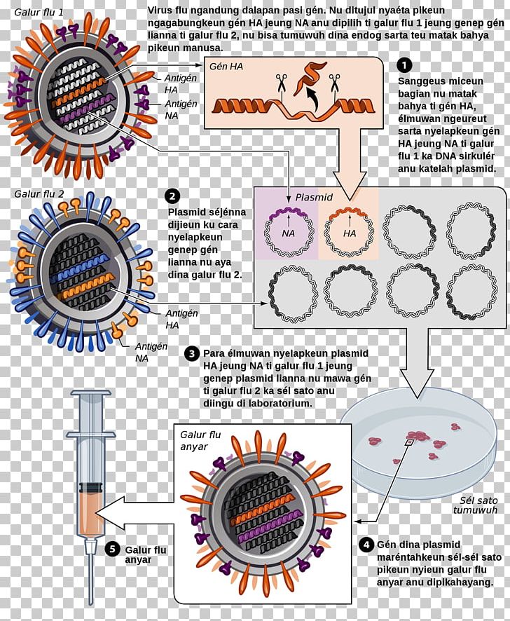 Influenza Vaccine DTaP Vaccine Hepatitis B Vaccine PNG, Clipart, 2009 Flu Pandemic Vaccine, Antibody, Area, Circle, Clutch Part Free PNG Download