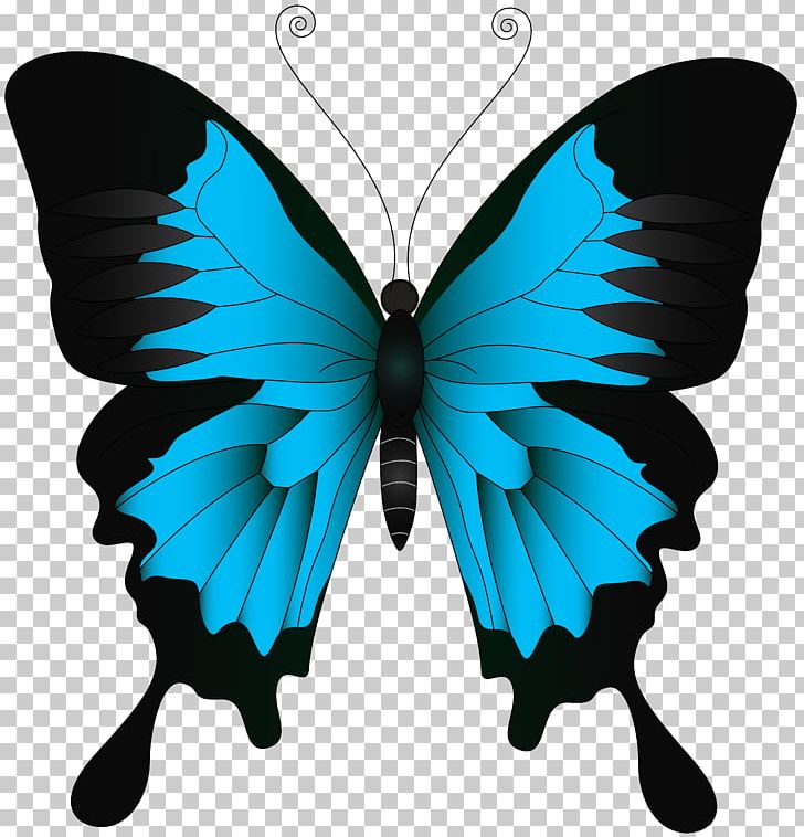 Swallowtail Butterfly Papilio Ulysses PNG, Clipart, Aglais Io, Arthropod, Blue, Blue Butterfly, Butterflies Free PNG Download