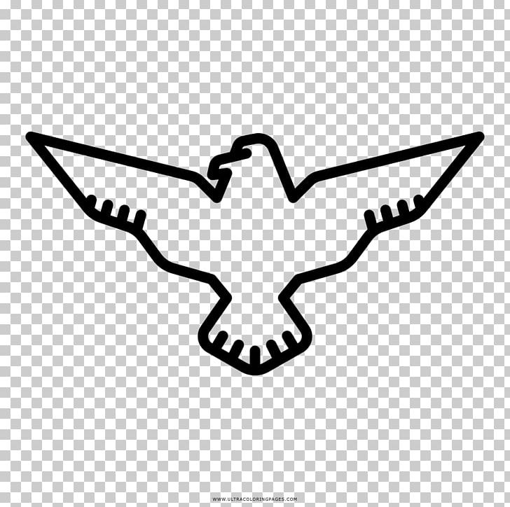 Coloring Book Drawing Harpy Eagle PNG, Clipart, Angle, Beak, Bird, Black And White, Book Free PNG Download