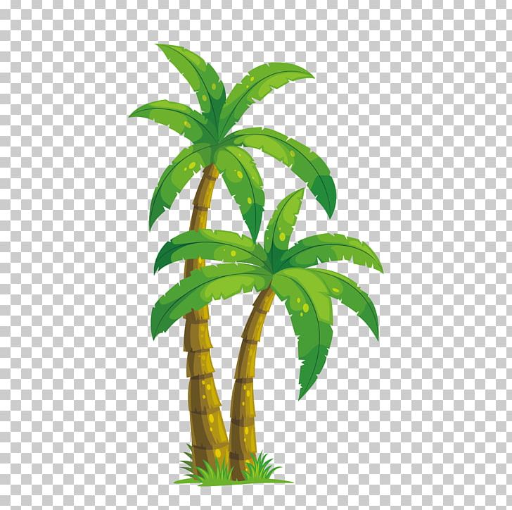 Arecaceae Coconut Tree Illustration PNG, Clipart, Big Picture, Coconut Trees, Encapsulated Postscript, Eps, Family Tree Free PNG Download