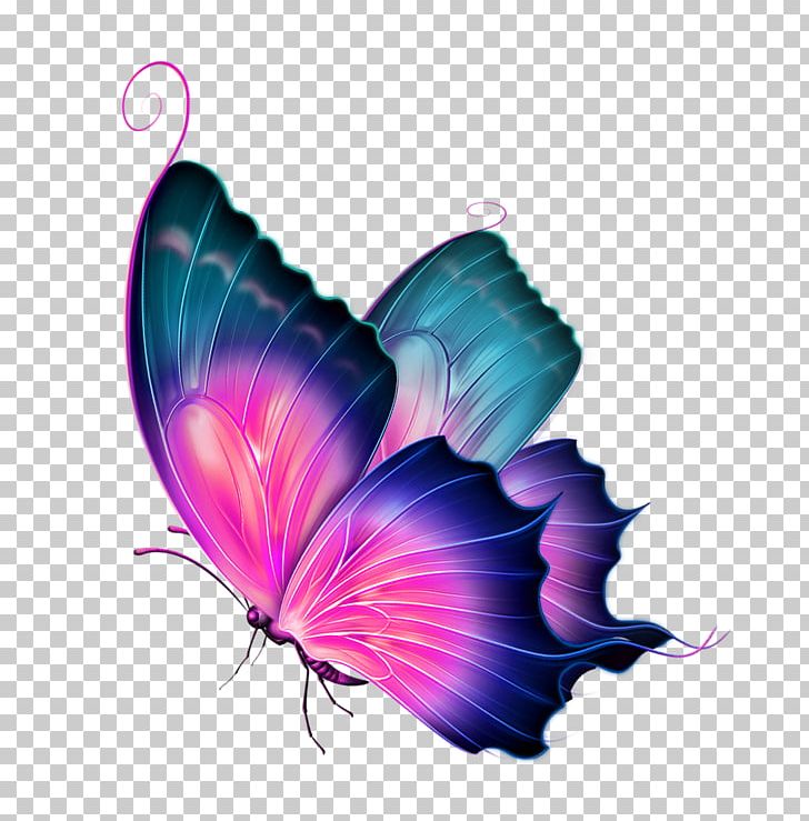 Butterfly PNG, Clipart, Blue, Cartoon, Colour, Computer Wallpaper, Decorate Free PNG Download