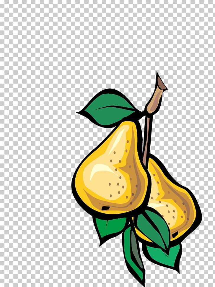 Fruit Pear Vegetable Euclidean PNG, Clipart, Apple Pears, Art, Auglis, Butterfly, Encapsulated Postscript Free PNG Download