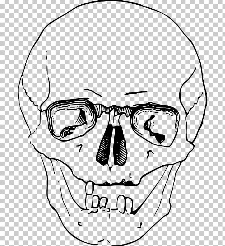 Skull Skeleton PNG, Clipart, Angle, Artwork, Black And White, Bone, Computer Icons Free PNG Download