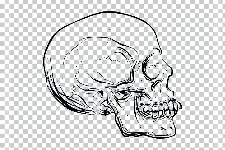 Drawing Skull Cartoon Euclidean PNG, Clipart, Art, Automotive Design, Black And White, Bone, Cartoon Free PNG Download