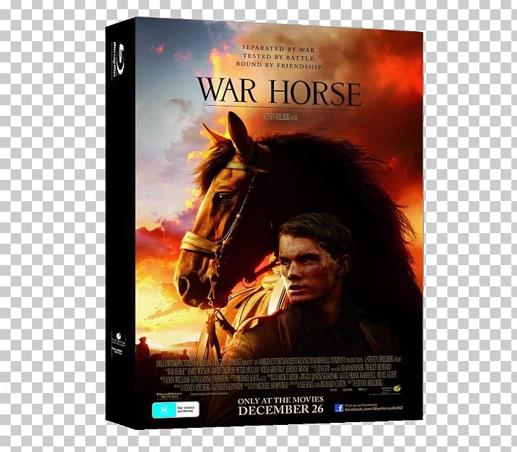 Jeremy Irvine War Horse War Film PNG, Clipart, Academy Award For Best Picture, Action Film, Cinema, Dvd, Film Free PNG Download