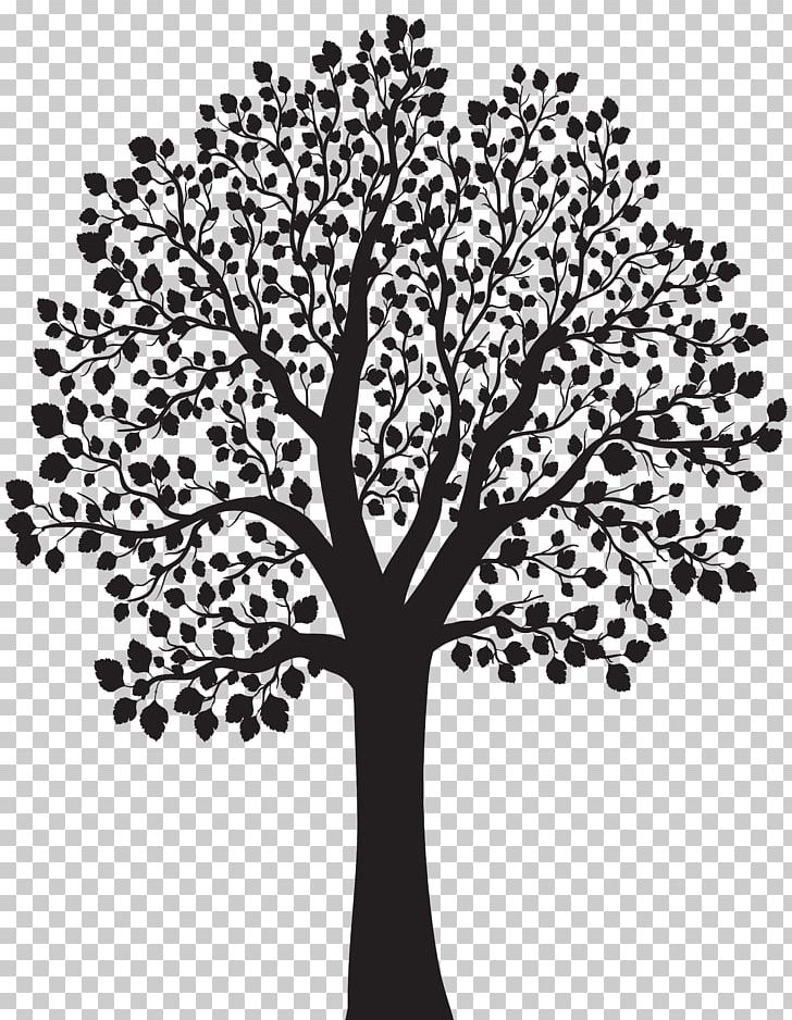 Tree Silhouette PNG, Clipart, Black And White, Branch, Depositphotos, Flora, Flower Free PNG Download