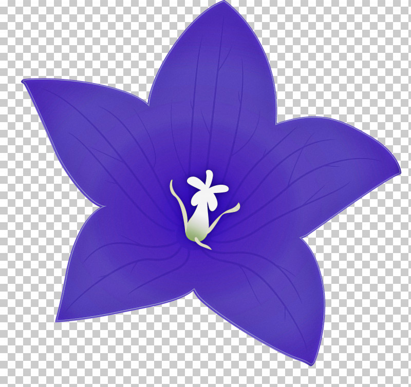 Balloon Flower PNG, Clipart, Balloon Flower, Bellflower Family, Cobalt, Cobalt Blue, Flower Free PNG Download