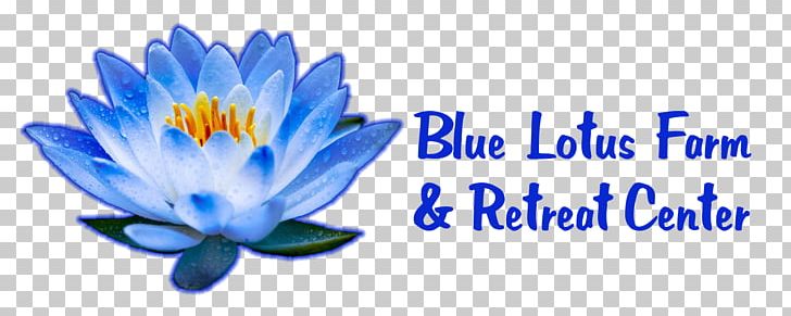 blue lotus flower clip art