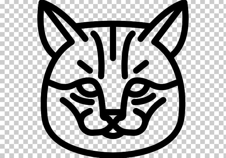Drawing Vase Whiskers PNG, Clipart, Black, Black And White, Bobtail, Cat, Cat Icon Free PNG Download