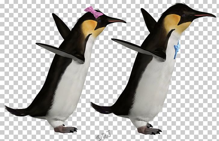 King Penguin Fauna Animal PNG, Clipart, Animal, Animal Figure, Animals, Beak, Bird Free PNG Download