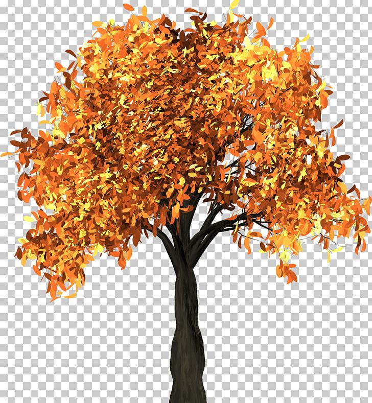 Autumn Leaf Color Tree Branch Landscaping PNG, Clipart, Autumn, Autumn Leaf Color, Branch, Color, Deciduous Free PNG Download