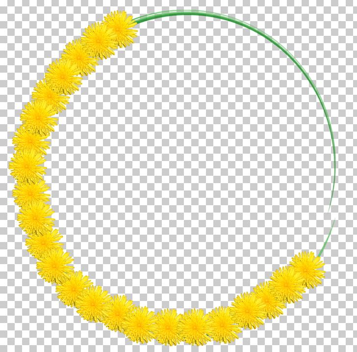 Body Jewellery Amber Circle PNG, Clipart, Amber, Body Jewellery, Body Jewelry, Circle, Education Science Free PNG Download