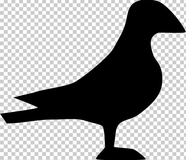 Ducks PNG, Clipart, Animals, Beak, Bird, Black And White, Cygnini Free PNG Download