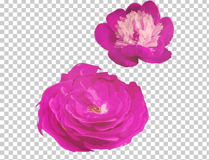Garden Roses Centifolia Roses Purple PNG, Clipart, Bud, Buds, Centifolia Roses, Cut Flowers, Designer Free PNG Download