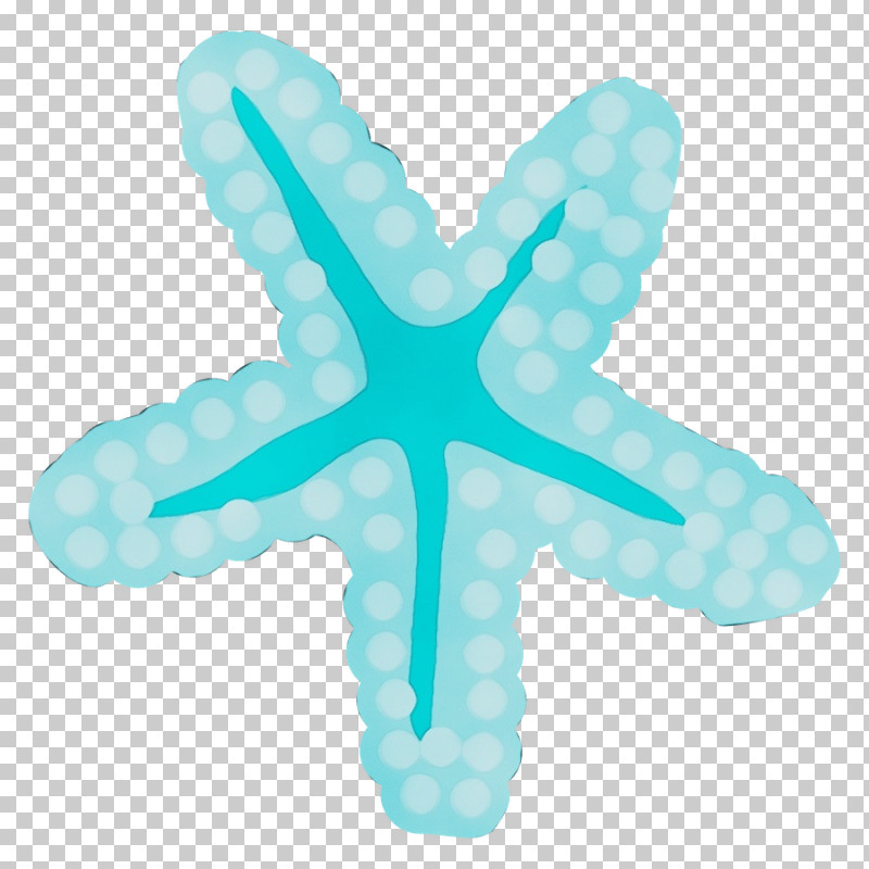 Aqua Turquoise Starfish Turquoise Symbol PNG, Clipart, Aqua, Paint, Starfish, Symbol, Turquoise Free PNG Download