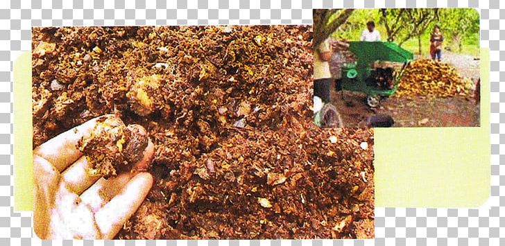 Hot Chocolate Cocoa Bean Husk Cacao Tree Compost PNG, Clipart, Cacao Tree, Chocolate, Cocoa Bean, Coco Leaves, Compost Free PNG Download