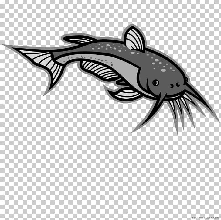 Illustration Graphics Free Content PNG, Clipart, Artwork, Black, Black And White, Catfish, Channel Catfish Free PNG Download