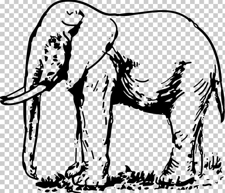 Elephantidae Drawing Black And White PNG, Clipart, Art, Artwork, Asian Elephant, Carnivoran, Cartoon Free PNG Download