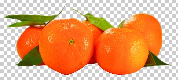 Orange Tangerine Fruit PNG, Clipart, Auglis, Bell Peppers And Chili Peppers, Citrus, Clementine, Diet Food Free PNG Download