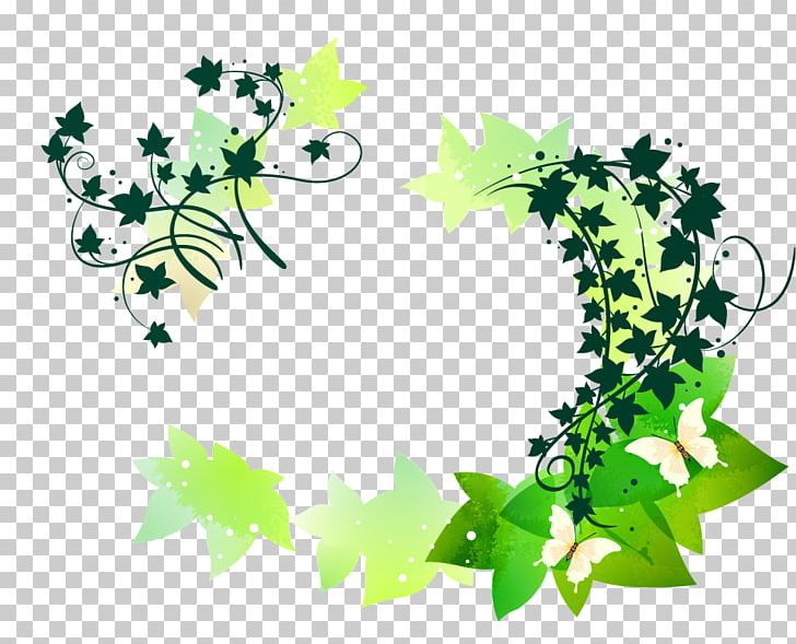 Butterfly Flower Vine PNG, Clipart, Border, Border Flowers, Branch, Butterfly, Decorativ Free PNG Download