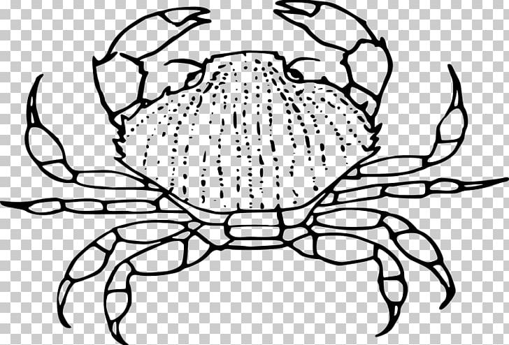 Crab Decapoda Drawing PNG, Clipart, Animals, Artwork, Black And White, Circle, Crab Free PNG Download