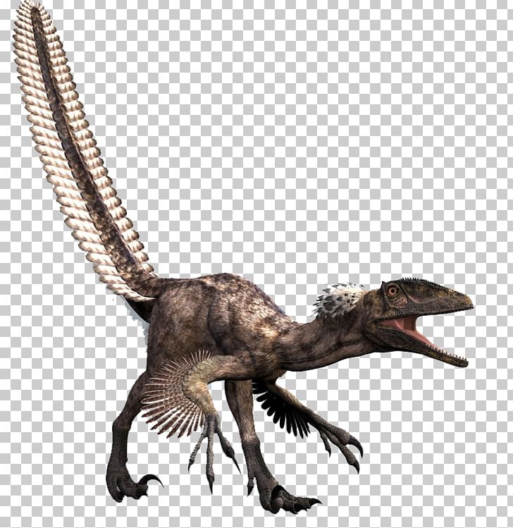 Deinonychus Dromaeosaurus Tyrannosaurus Allosaurus Spinosaurus PNG, Clipart, Claw, Deinonychus, Deinonychus The Terrible Claw, Dinosaur, Dromaeosauridae Free PNG Download