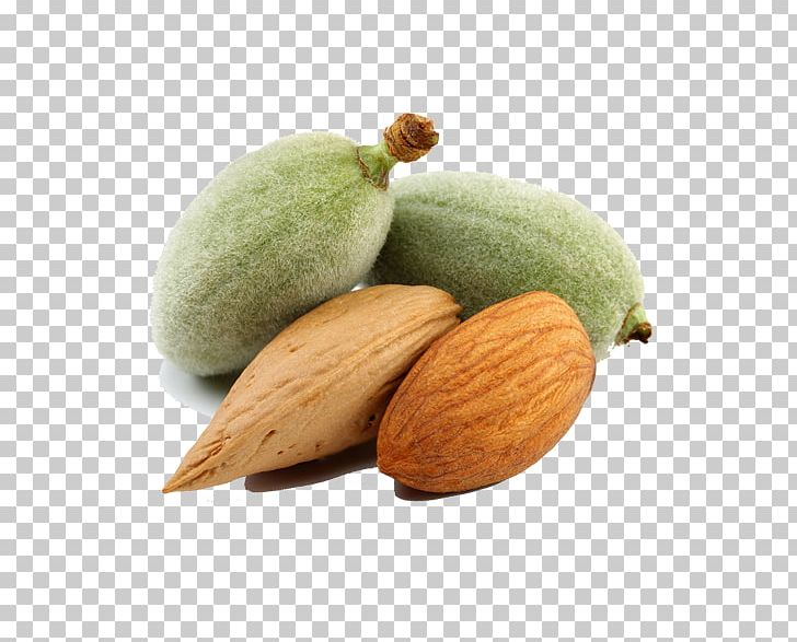 Dried Fruit Nut Almond PNG, Clipart, Almond, Almond Milk, Almond Nut, Almond Nuts, Almond Pudding Free PNG Download