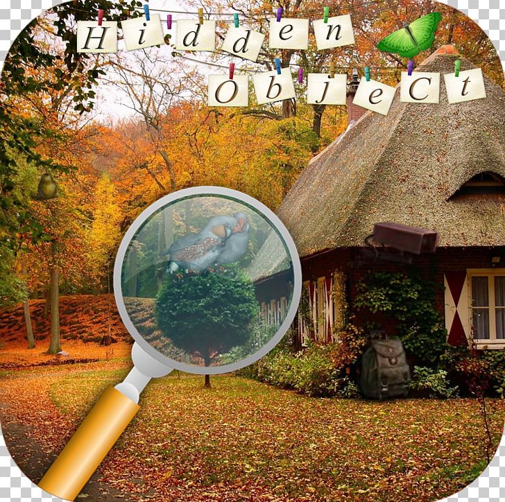 Nature Leaf House Hut Forest PNG, Clipart, Autumn, Forest, Girl, Grass, Hidden Free PNG Download