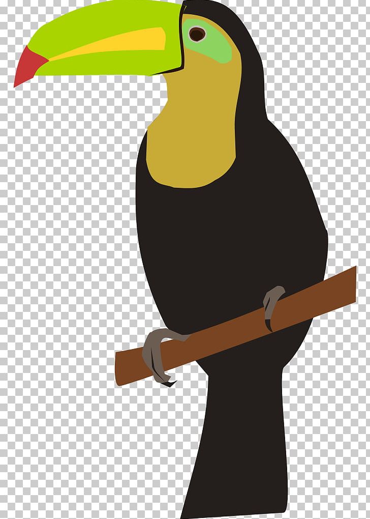 Toucan PNG, Clipart, Animation, Beak, Bird, Document, File Size Free PNG Download