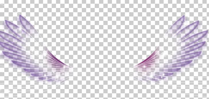 Wing White Feather PNG, Clipart, Angel Wing, Angel Wings, Black White, Chicken Wings, Designer Free PNG Download