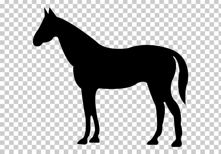 American Quarter Horse PNG, Clipart, Animals, Black And White, Bridle, Colt, Draft Horse Free PNG Download