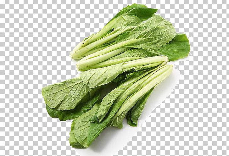 Choy Sum Romaine Lettuce Spring Greens Cabbage Chard PNG, Clipart, Celtuce, Chinese Broccoli, Chinese Cabbage, Collard Greens, Food Free PNG Download