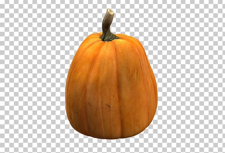 Jack-o'-lantern Calabaza Gourd Pumpkin Cucurbita Maxima PNG, Clipart, Alf, Bilingual, Calabash, Calabaza, Carving Free PNG Download