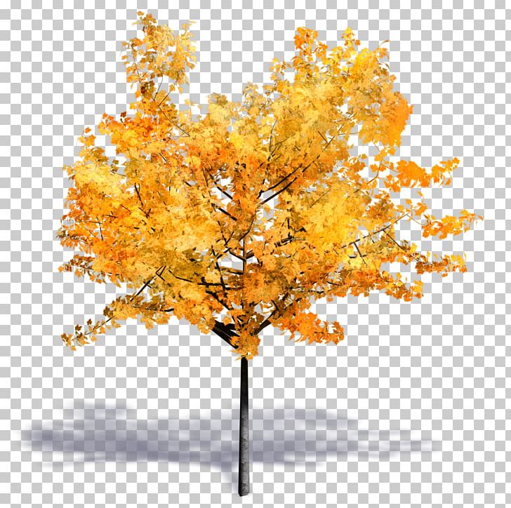 Tree Woody Plant Autodesk Revit SketchUp PNG, Clipart, Archicad, Artlantis, Autocad, Autocad Dxf, Autodesk 3ds Max Free PNG Download