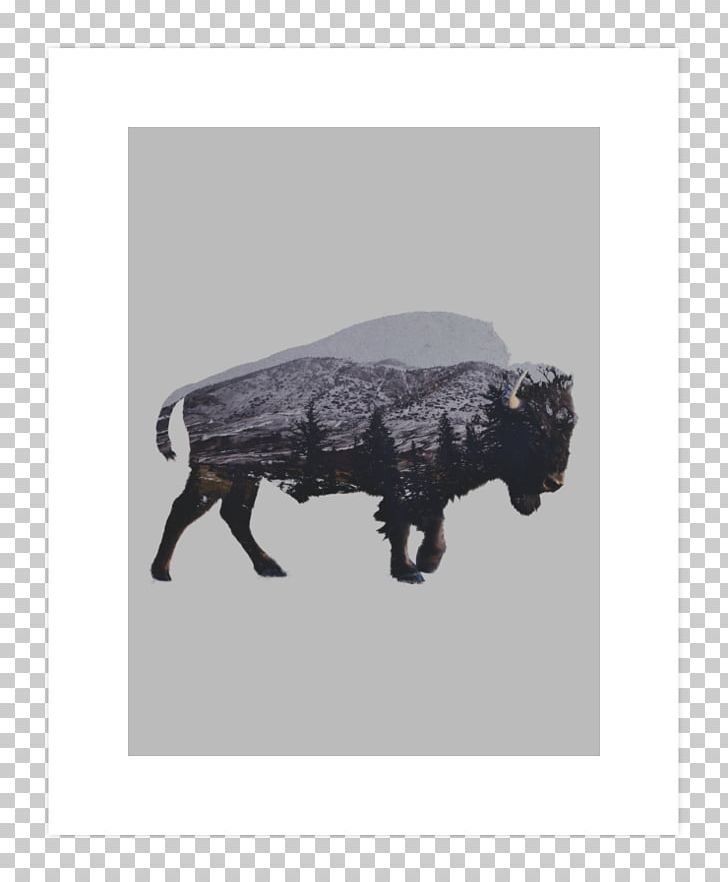 American Bison Art Museum Photography Painting PNG, Clipart, Allposterscom, American, American Bison, Art, Art Museum Free PNG Download