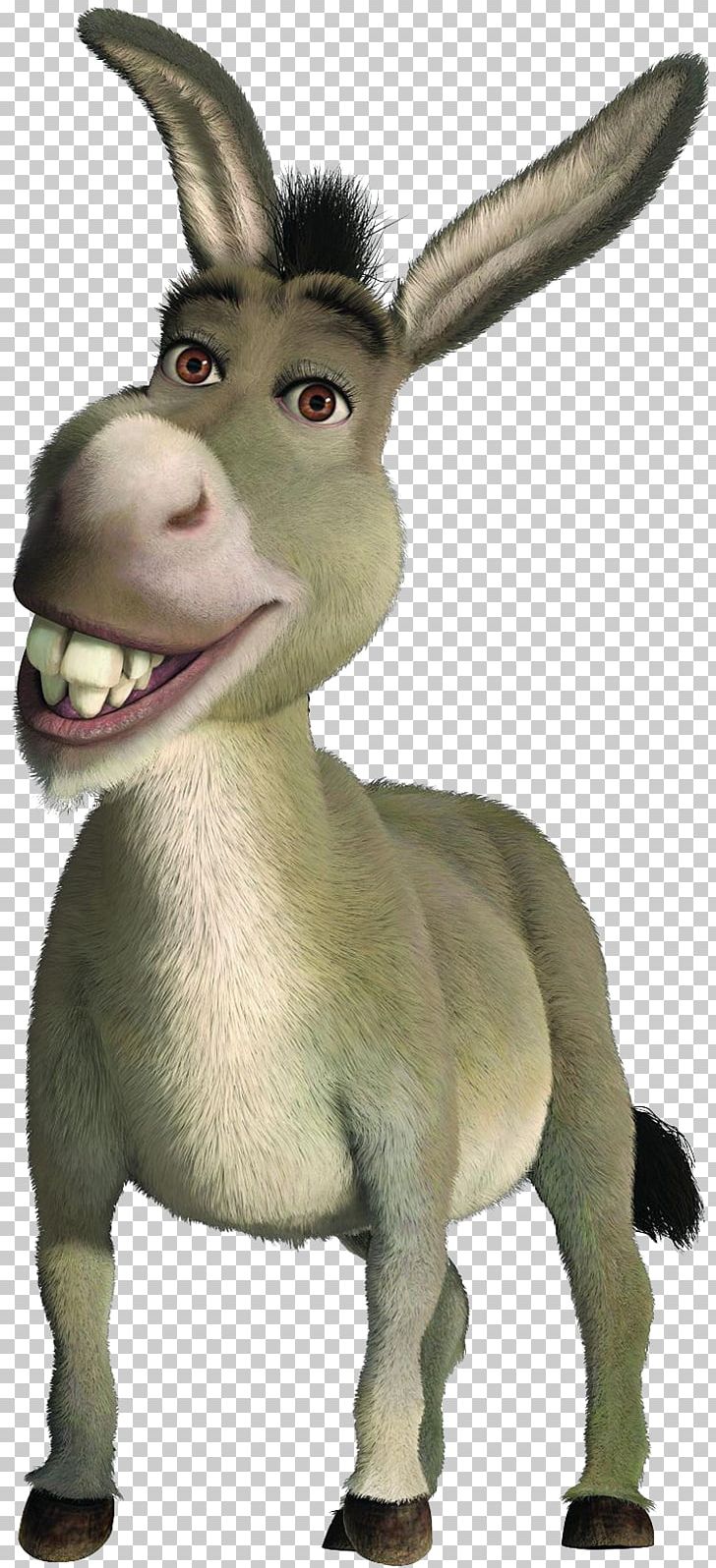 Donkey Princess Fiona Shrek The Musical Shrek Film Series PNG, Clipart, Animal Figure, Animals, Cow Goat Family, Donkey, Eddie Murphy Free PNG Download