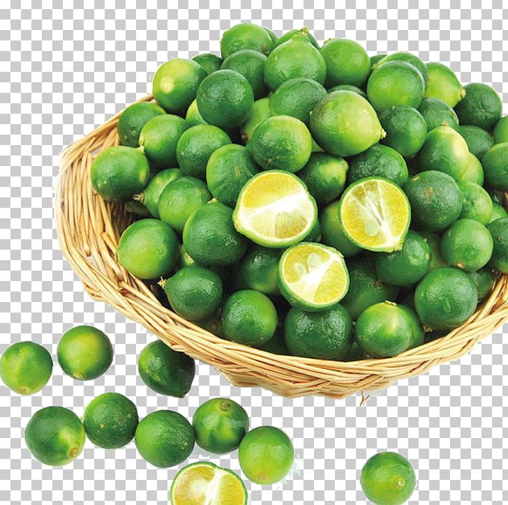 Key Lime Lemon Tangerine Persian Lime PNG, Clipart, Calamondin, Citron, Citrus, Food, Fresh Salmon Free PNG Download