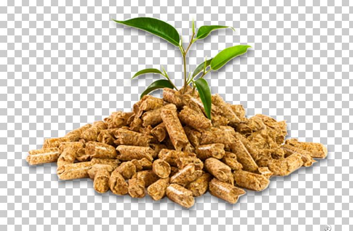 Pellet Fuel Softwood Pellet Stove Hardwood PNG, Clipart, Biofuel, Biomass, Biomass Briquettes, Briquette, Business Free PNG Download