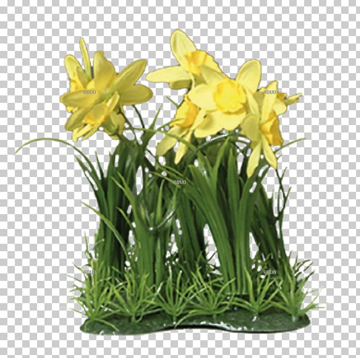Floral Design Cut Flowers Flower Bouquet Flowerpot PNG, Clipart, Amaryllis Family, Bill H Gross, Cut Flowers, Floral Design, Floristry Free PNG Download