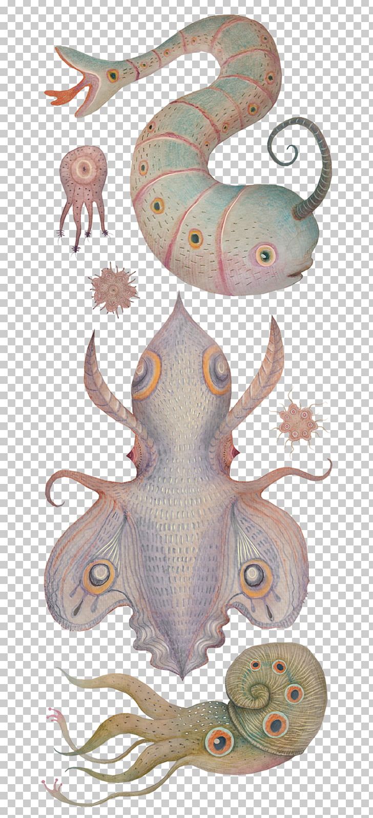 Octopus Squid Cephalopod Narwhal PNG, Clipart, Animal, Animals, Aquatic Animal, Art, Cephalopod Free PNG Download