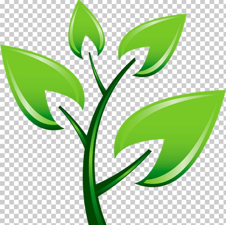 Tree Planting Pruning PNG, Clipart, Arbor Day, Crop, Flora, Flower, Garden Free PNG Download